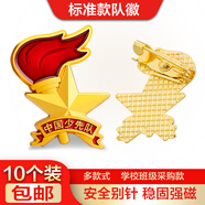 星人說(shuō) 新標準款隊徽少先隊強磁吸別針款徽章 磁鐵扣隊章中國小學(xué)生用標準型立體火炬款加厚胸章 別針款-10枚