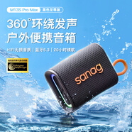 SANAG塞那M13SPro【超100萬(wàn)人種草】無(wú)線(xiàn)藍牙音箱低音炮電腦迷你戶(hù)外音響高音質(zhì)可插卡便攜送男女生禮物 黑色丨無(wú)內存丨可插卡 適用于蘋(píng)果安卓華為小米OPPO