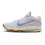 NIKE耐克新款男款減震訓練運動(dòng)籃球鞋DD2737-002 Z HJ9084-100 44