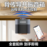 固鄰APP遠程共振音箱強穿透42W大功率定時(shí)骨傳導家用無(wú)線(xiàn)wifi藍牙音響 遠程+強穿透+WIFI+定時(shí)+全套套餐