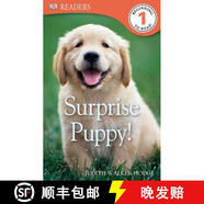 【4周達(dá)】DK Readers L1: Surprise Puppy