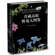正版 中國生態(tài)大圖鑒系列 好奇心書(shū)系 中國鳥(niǎo)類(lèi)生態(tài)+蜘蛛生態(tài)+青藏高原野花+蝴蝶生活史圖鑒+蜻蜓大圖鑒+昆蟲(chóng)生態(tài)大圖鑒 昆蟲(chóng)大全圖鑒 重慶大學(xué)動(dòng)物圖鑒 青藏高原野花大圖鑒