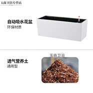 游復(fù)吟花箱庭院庭院花箱陽臺(tái)花箱懸掛式花盆網(wǎng)紅欄桿護(hù)欄壁掛花槽戶外自 白色自吸水花箱【含椰糠營(yíng)養(yǎng)土】 樹脂 x 小