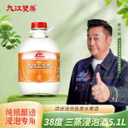 九江雙蒸 豉香型白酒 38度三蒸浸泡酒5.1L 廣東米酒浸泡青梅果酒白酒送禮