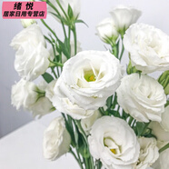 全色系稀有洋桔梗無(wú)刺玫瑰鮮花花束云南直發(fā)插花洋玫瑰花束混搭 白色洋桔梗(15-20朵花) 收藏商品送保鮮劑(花壞按比例賠