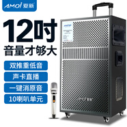 夏新（Amoi）廣場(chǎng)舞音響戶(hù)外K歌拉桿移動(dòng)藍牙音箱直播家用12英寸三分頻低音炮擴音器帶麥克風(fēng) 新品12吋五分頻10喇叭(單話(huà)筒)