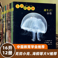 生命的故事 第4輯12冊 水母烏賊章魚蛇 昆蟲自然兒童科普繪本 高清實拍動物世界課外閱讀百科全書寫真集 2-3-6歲幼兒園圖書 