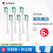浪天電動牙刷頭Langtian/MAF8101LT-Z18/Z09/08/06/S1替換頭 6支 白色清潔型LT-S16支裝贈防
