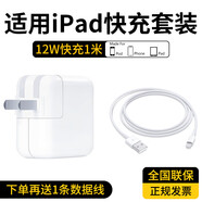 尊匠蘋(píng)果ipad充電器充電線(xiàn)45W快充適配原裝Air4/5pro2025款/11/10/9代mini7/6平板雙頭TypeC數據線(xiàn)套裝 【ios快充版】12w充電頭+快充數據線(xiàn)1米