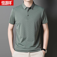 恒源祥（HYX）短袖t恤男夏季新款冰絲polo衫中老年純色翻領(lǐng)寬松免燙體恤上衣男 1219灰色 M 165建議95-115斤