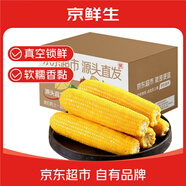 京鮮生 東北黃玉米凈重3.6斤 8根*220g+ 真空包裝加熱即食 源頭直發(fā)