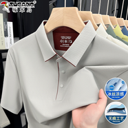 啄木鳥(niǎo)冰絲短袖t恤男夏季薄款2025年男士polo半袖衫翻領(lǐng)商務(wù)休閑體恤男 運動(dòng)灰【冰絲涼感】 XL