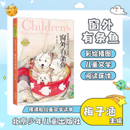 擺渡船兒童文學(xué)讀本 窗外有條魚(yú) 梅子涵 北京少年兒童出版社