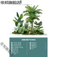 塑料仿真花類(lèi)田園風(fēng)格綠植仿真綠植盆栽室內(nèi)盆景裝飾 餐廳場(chǎng)景綠 移風(fēng)易俗/套