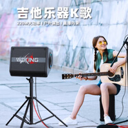 維爾晶K40大功率戶外彈唱音響線陣音箱