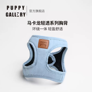 PUPPY GALLERY韓國進口輕透狗狗胸背帶狗狗牽引繩遛狗繩寵物小狗背心式中小型犬 天藍色 XS 胸圍34-41cm 體重3.9-5.9kg