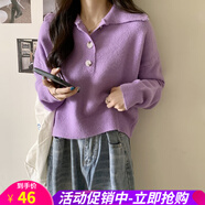 歐貝汐polo領(lǐng)打底毛衣女春秋新款寬松慵懶風(fēng)設(shè)計(jì)感小眾短款針織上衣內(nèi)搭 紫色 均碼
