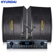 HYUNDAI現(xiàn)代10英寸音響套裝家庭影院KTV音響組合家用會(huì)議大功率藍(lán)牙功放音箱套裝卡拉OK會(huì)議室音箱