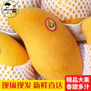 金煌芒果水仙大芒果新鮮廣西芒果應季水果整箱 果農甄 凈重4.5-5斤精選裝 手挑老樹(shù)果[單果約300g+]