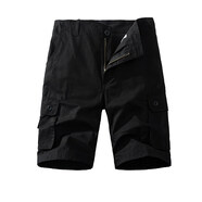尊首（ZUNSHOU）純棉工裝短褲男多口袋夏季五分褲拉鏈門(mén)襟中老年男士馬褲寬松休閑 DK001黑色 29