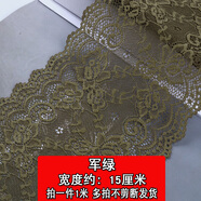 帶彈力蕾絲輔料服裝短裙下擺袖口加長領(lǐng)口加高布料黑白色花邊配件 蕾絲花邊軍綠1米 15cm