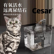 CESAR寵物自動(dòng)飲水機(jī)1.5升貓貓喝水貓咪飲水用飲水器流動(dòng)循環(huán)喂水碗 顏色隨機(jī)（要指定顏色聯(lián)系客服）