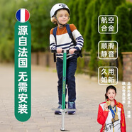 兒童跳跳桿寶寶戶外健身運(yùn)動(dòng)彈跳桿跳跳鼠彈跳器玩具蹦蹦跳娃娃跳 清新綠（全鋁合金桿身50-100斤）