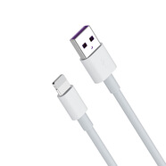 藍佐type-C數據線(xiàn)6A適用于Reno78快充65W充電器線(xiàn)80W數據線(xiàn) 65W超級快充-蘋(píng)果【盒裝】