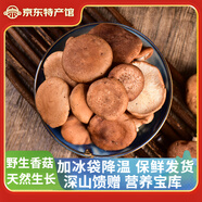 玉燕妃順豐生鮮空運 云南新鮮野生香菇 香蕈營(yíng)養寶庫現采現發(fā)深山菌菇  200g
