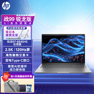 惠普（HP）戰99 高性能筆記本AI銳龍版 16英寸 酷睿Zbook Power G11 商用辦公繪圖設計筆記本電腦定制 R7-8845HS RTX2000Ada-8G獨顯 【SW建模 推薦】32G內