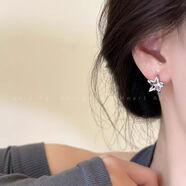 DR-FLVVS胖東來(lái)同款合集銀色冷淡風(fēng)簡(jiǎn)約感耳圈耳環(huán)耳夾設計感大氣歐美夸 鏤空星星【耳夾】