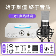 艾肯白色U Solo外置聲卡電腦手機(jī)通用主播直播錄音K歌麥克風(fēng)話筒聲卡設(shè)備套裝 U Solo+得勝K500