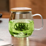 憶壺茶（YIHUTEA）泡茶杯茶水分離玻璃杯辦公室家用水杯男士茶杯玻璃高硼硅綠茶杯子 【500ML】透明玻璃把+實(shí)木蓋