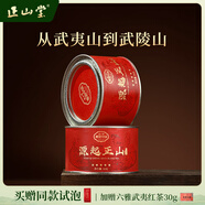 正山堂紅茶 源起正山 駿眉紅茶特級100g 金駿眉工藝 茶葉送禮 源頭直發(fā)