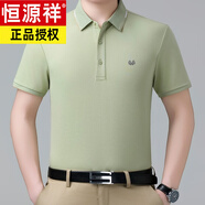 恒源祥夏季白色短袖t恤男高端桑蠶絲中年爸爸商務(wù)翻領(lǐng)大碼polo衫 HYX37-2303翠微綠 S 165/84A