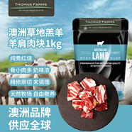 THOMAS FARMS澳洲羔羊原切帶骨羊肩肉塊 凈重2斤 草地散養(yǎng)骨少肉多羊排燉煮