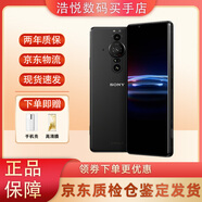 索尼（SONY）Xperia PRO-I 5G原生谷歌雙待拍照智能手機4K屏雙卡雙待庫存手機 Xperia Pro-1 12+512GB 國版原封