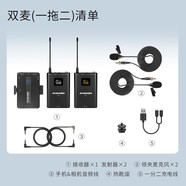 麥拉達(dá)S600無(wú)線領(lǐng)夾麥克風(fēng)手機(jī)相機(jī)錄制專(zhuān)用小蜜蜂麥直播采訪話筒 雙人收音S600PRO一拖二 官方標(biāo)配+卡儂線