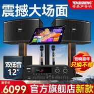 TEMEISHENG特美聲家庭ktv音響套裝TM-100卡拉ok機家用功放客廳k歌全套 H21(音響）+低音炮+點歌機+話筒