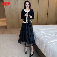 麗依歆小個子氣質(zhì)套裝女兩件套2025春季穿搭T恤網(wǎng)紗半身裙小香風(fēng)套裝裙 黑色上衣+網(wǎng)紗裙【套裝】 L 【110-120斤】