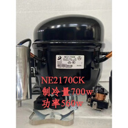 東貝低溫冰箱冰柜壓縮機R404a制冷劑冰機 NE2178機電五金 LG68CK 變頻板一塊