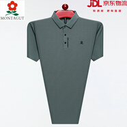 夢(mèng)特嬌夏季新款桑蠶絲短袖T恤男中年男士高端純色爸爸翻領(lǐng)polo衫 mtj8188綠色 XXS  165/84A