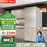 格力晶弘冰箱風冷無霜 電腦控溫 低噪音 離子凈味 家用中小型節(jié)能保鮮雙門開電冰箱 BCD-231WETG/浮光金