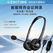 枝聽(tīng)【次日達(dá)】話(huà)務(wù)員專(zhuān)用耳機(jī)客服耳麥降噪手機(jī)話(huà)臺(tái)式筆記本電腦頭戴式外呼銷(xiāo)售電銷(xiāo)學(xué)生網(wǎng)課有線(xiàn)帶麥 USB接頭調(diào)音靜音功能（電腦用） 1.7米線(xiàn)長(zhǎng) 筆記本臺(tái)式電腦通用