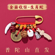 祥隱【普陀山直發(fā)】寶寶別針嬰兒桃木劍兒童護身壓驚防驚嚇朱砂掛件 【寶寶別針】收驚款生肖蛇