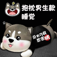 優(yōu)美尚 哈士奇公仔毛絨玩具男生睡覺(jué)抱枕布娃娃二哈抱抱熊女孩生日禮物 哈士奇（總有刁民想害朕）星星眼 1.7m+彩袋