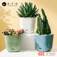 九千谷花盆歐式簡(jiǎn)約有棲花盆混色中號(hào)3個(gè)裝 室內(nèi)辦公室簡(jiǎn)約花盆5761