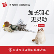 貴為（GiGwi）小鳥(niǎo)發(fā)聲逗貓玩具小貓咪幼貓自嗨解悶神器磨牙耐咬寵物玩具逗貓棒