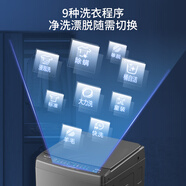 美菱【大力神系列】10公斤一級能效波輪洗衣機 阻尼玻璃蓋 大力洗大力甩 0.9高洗凈比 D8EB100【?！?
                                         title=