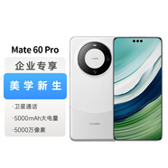 華為Mate 60 Pro白沙銀12GB+256GB衛(wèi)星通話超可靠玄武架構(gòu) 旗艦鴻蒙智能手機【企業(yè)用戶專享】